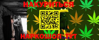 сатива Малгобек