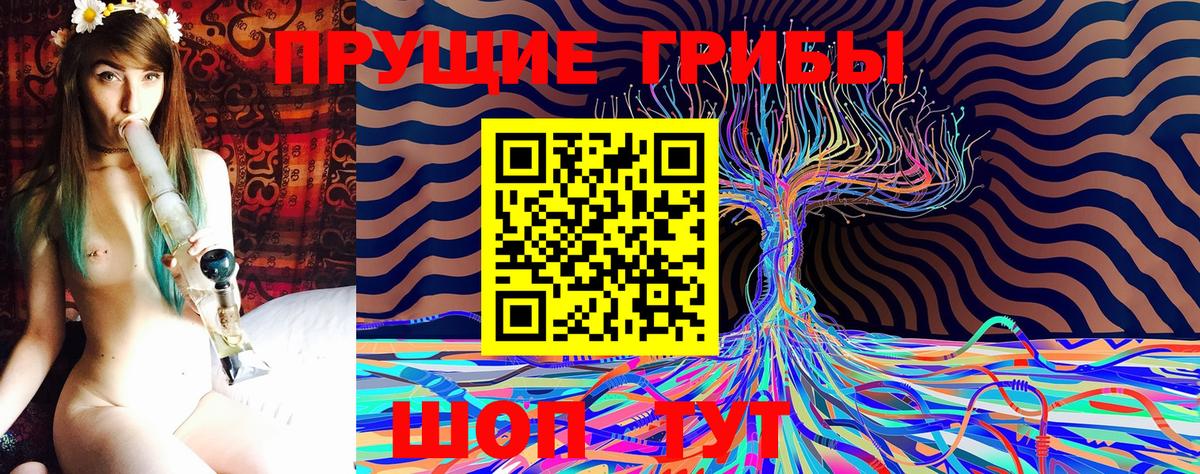 Губкинский  Псилоцибиновые грибы GOLDEN TEACHER  Вход с VPN  Галлюциногенные грибы GOLDEN TEACHER 